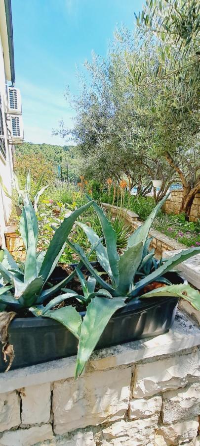 פוצ'ישצ'ה Apartments Darija & Pero מראה חיצוני תמונה