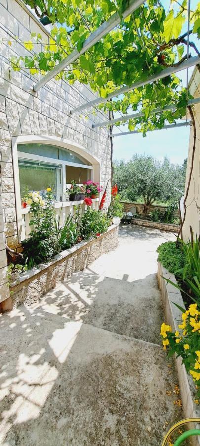 פוצ'ישצ'ה Apartments Darija & Pero מראה חיצוני תמונה