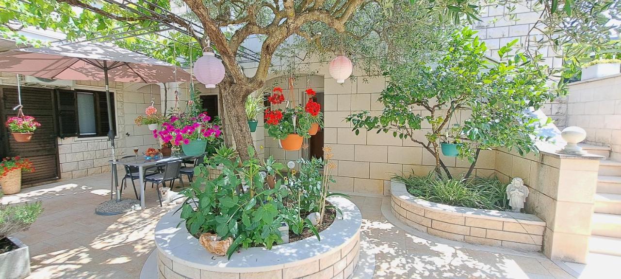 פוצ'ישצ'ה Apartments Darija & Pero מראה חיצוני תמונה
