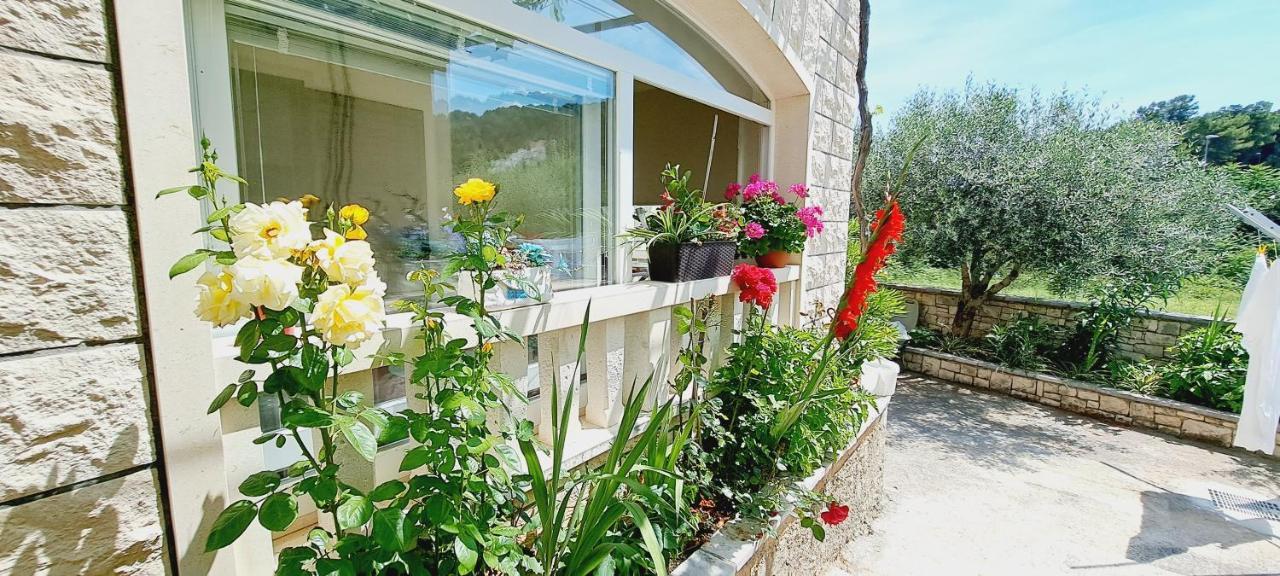 פוצ'ישצ'ה Apartments Darija & Pero מראה חיצוני תמונה