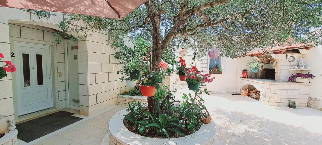 פוצ'ישצ'ה Apartments Darija & Pero מראה חיצוני תמונה